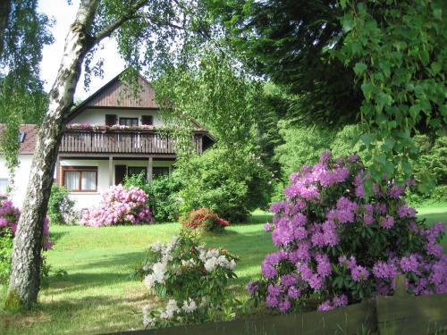 Haus am Wald - Urlaub am Nationalpark 2.9km von Allenbach entfernt