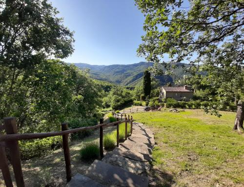 Villa Galearpe with private pool in Tuscany