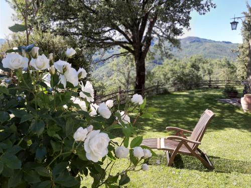 Villa Galearpe with private pool in Tuscany in Talla