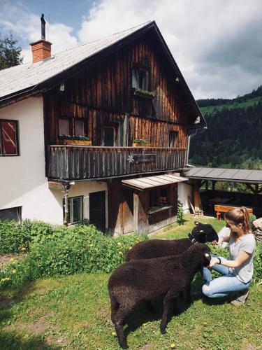 Zauneralm in Aich, Österreich