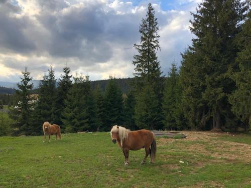 Attractions, CASA SMIDA JAZZ in Smida