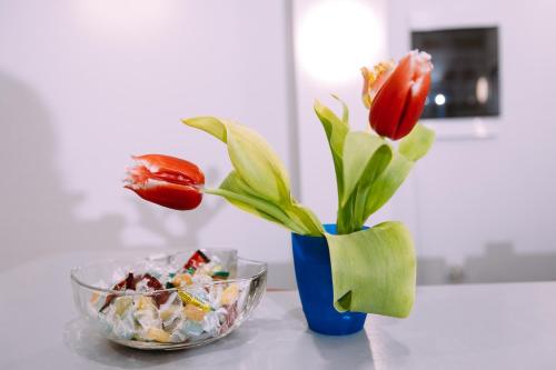 Kapsula vremeni Сapsule hotel - image 14