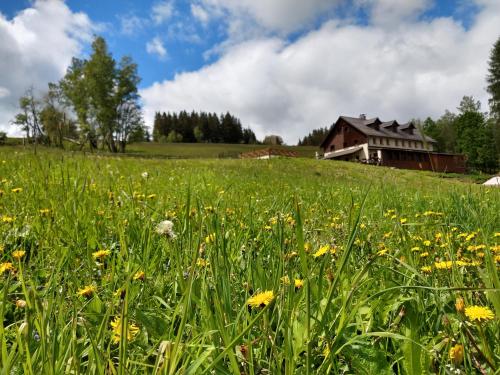 Chalupa Barborka - Národní park Krkonoše, sauna, bazén, dětské hřiště, gril, 6 pokojů, kuchyň, společenská místnost s krbem