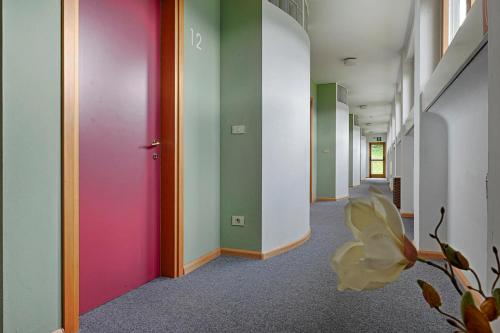 Pension Fellis - image 6