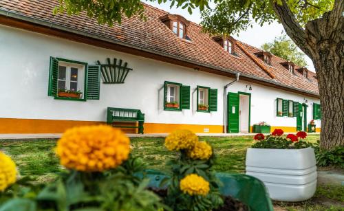  Zsámbéki Vendégház -Anno1815- in Zsámbék