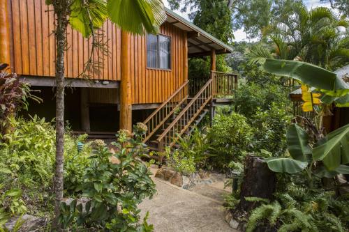 Milkwood Lodge in คุกทาวน์