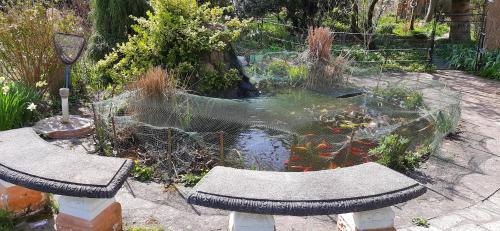 Kert, Die Stadtvilla - Gästehaus mit Gemeinschaftsküche, Hausnummer 34 (Die Stadtvilla - Gastehaus mit Gemeinschaftskuche, Hausnummer 34) in Marne