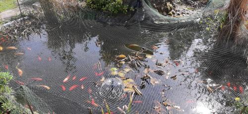 Kilátás, Die Stadtvilla - Gästehaus mit Gemeinschaftsküche, Hausnummer 34 (Die Stadtvilla - Gastehaus mit Gemeinschaftskuche, Hausnummer 34) in Marne