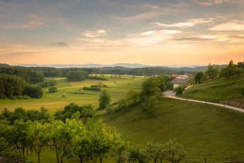 Vineyard Cottage Krivic