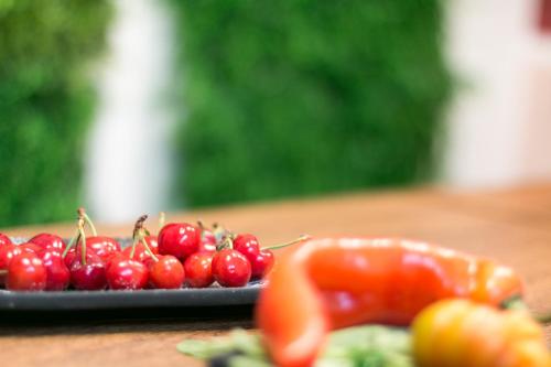 Wine Apartments Florence Franciacorta - image 8