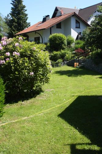 Haus am Mühlberg - Apartment - Fischbachtal