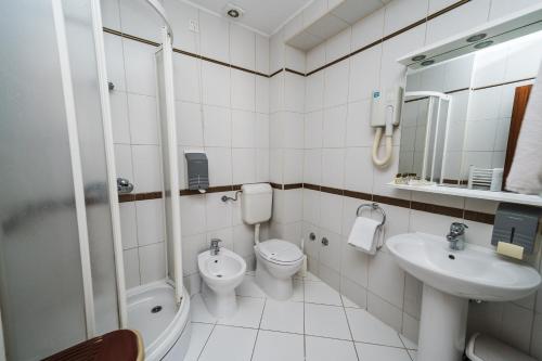 Hotel Astra - image 5