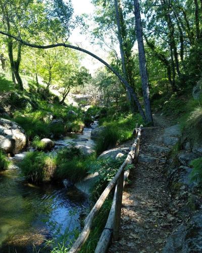 Hotel Rural Los Molinillos