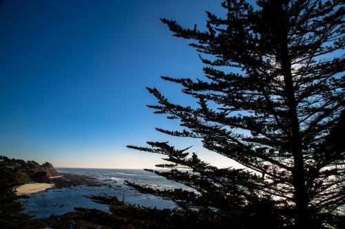 Seal Cove Inn - image 3