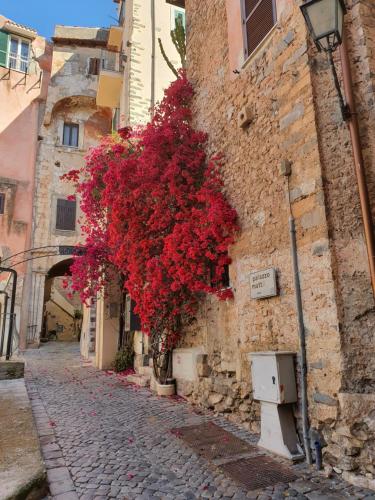  Beach Holiday (near Rome and Napoli) in Terracina