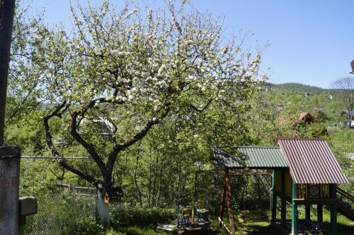 Будиночок в Карпатах