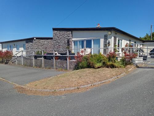Maen Hir - image 8