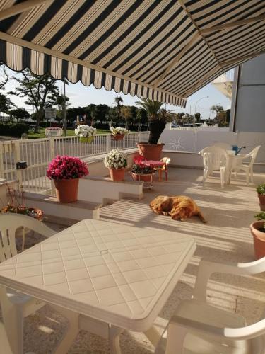 Balcony/terrace, B&B GALLETTO in Porto San Giorgio