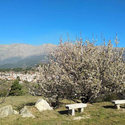 Hotel Rural Los Molinillos - image 11
