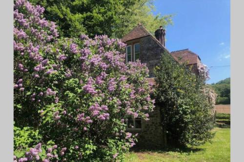 Beautiful converted Stable in peaceful Somerset, close to the Jurassic Coast - Apartment - Chard