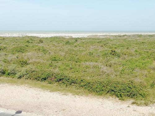 Escale en Baie de Somme - image 12