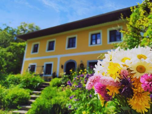 Naturoase Mühlviertel - Apartment - Sankt Johann am Wimberg