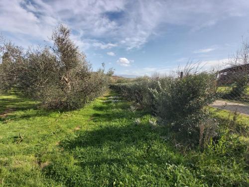 Tenuta Santa Maria