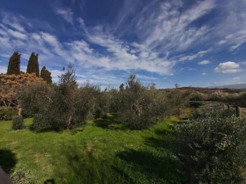 Tenuta Santa Maria