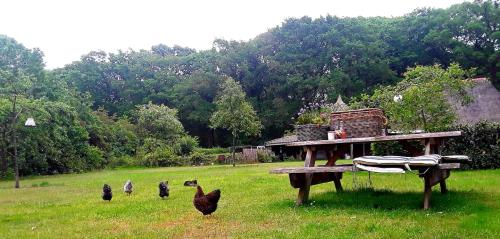  Bed & Breakfast Markelo in Markelo