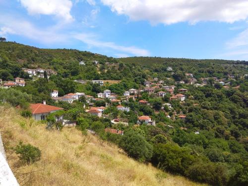 Marina Traditional Stonehouse