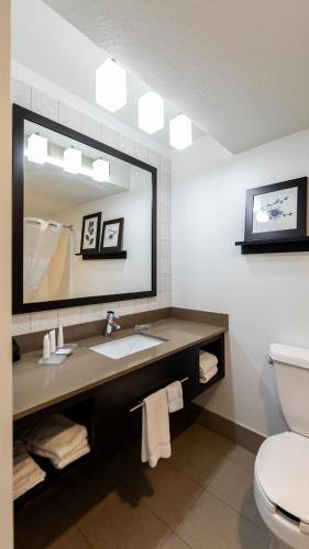Country Inn & Suites by Radisson Appleton WI - image 14