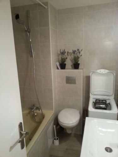 LE FONTAGNEL N°310 in 凱哈斯地區莫利納