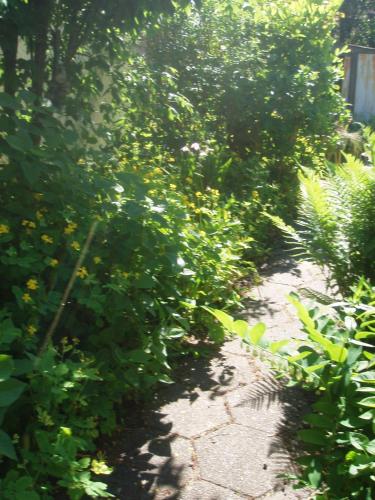 "Alléhuset" ("Allehuset") in Roslev