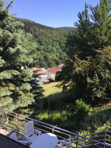 Luftkurort, Perle des Neckartals in Hirschhorn Neckar, Deutschland