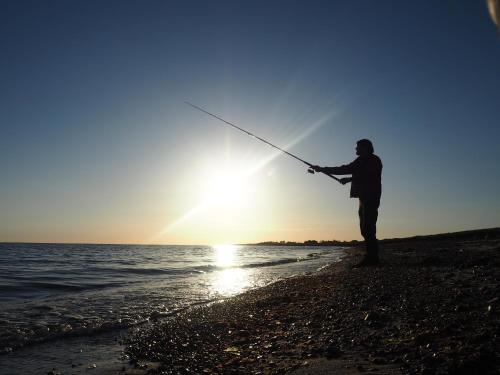 Hummingen Strand 21 in Dannemare