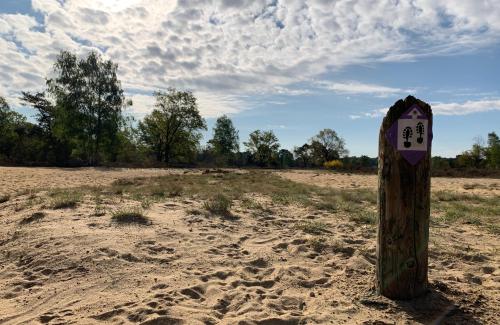 TinyStay Veluwe