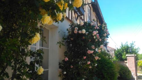 le petit couvent photo 22