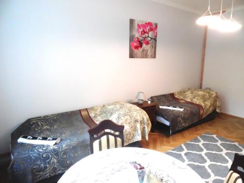 Apartament Orchidea, Cracovie (photo 10)