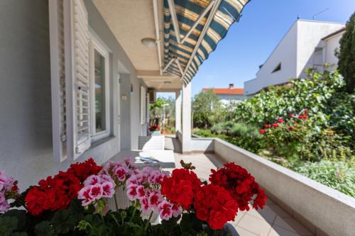 Apartments Villa Ana - image 12