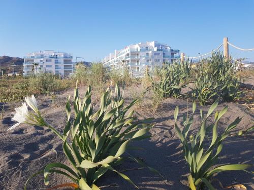 Apartamento Lujo Duna Beach