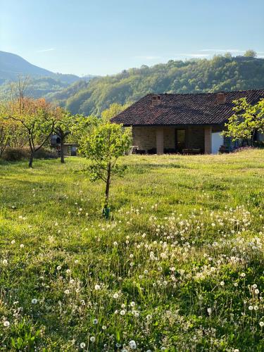 Il Nido - Private villa with pool and jacuzzi