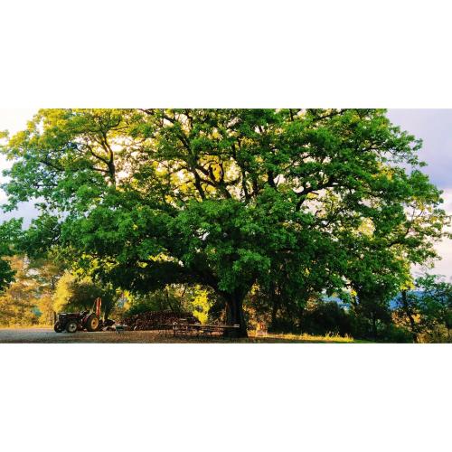 Château Saint-Esprit chambre d'hôte Le Flayosquet