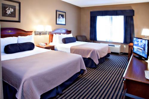 2 queen beds