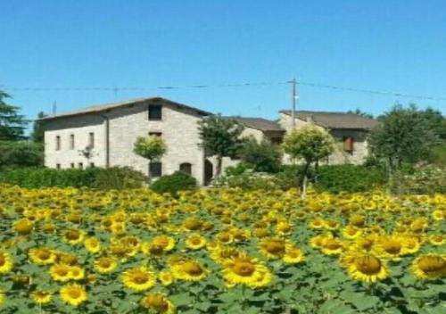 Agriturismo"Il Sagrato di Assisi" appartamenti,camere Assisi