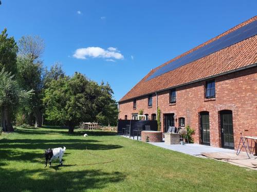 zomerhuisje by the sea in Zoutelande