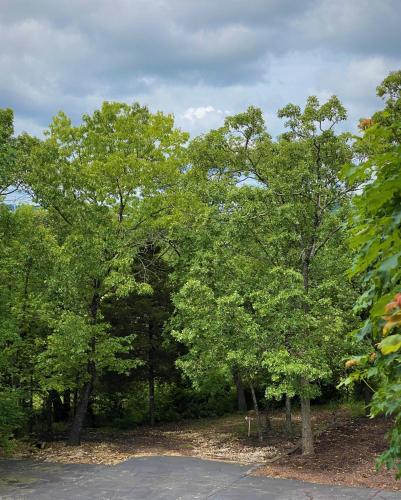 The Park at Foxborough - image 9