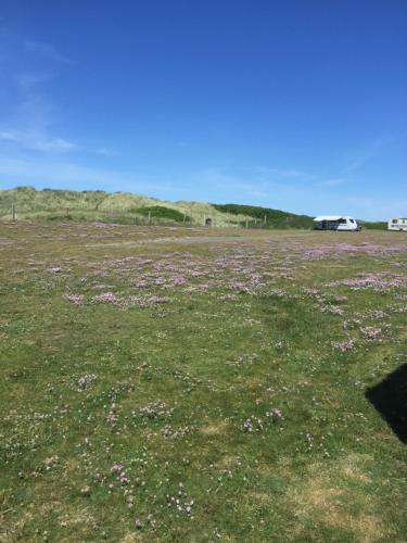 Løkken Strand Camping (Empty Lot) in Lokken