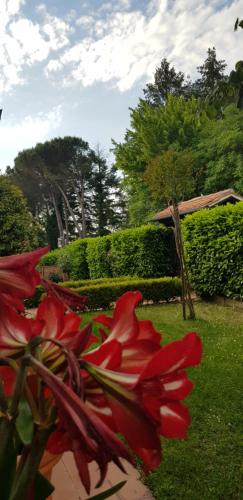 La Casa di Gigliola