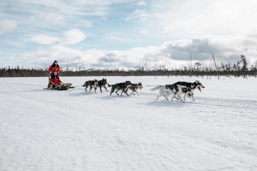 Lapland Hotels Hetta