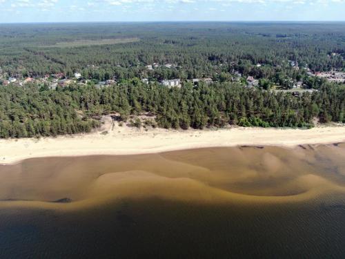 Pine Resort - image 12